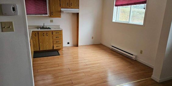 1 CH - 1 SDB - Windsor - $875 /mo - Photo 3