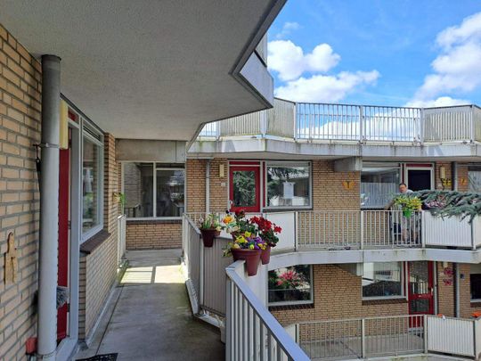 Appartement de 2 pièces Noordeinde 21F, Monnickendam - À Louer - Foto 1