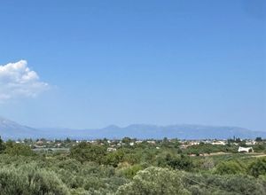 Διαμέρισμα για ενοικίαση - Ωρωπός, - Φωτογραφία 4