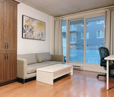 1235 Rue Bishop Montréal (Ville-Marie), QC H3G - Photo 4