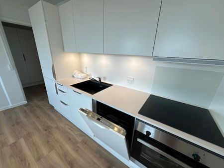 Skøn ny-renoveret 2-vær lejlighed med stor privat altan - Foto 5