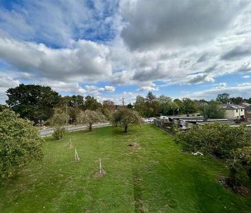 Pytt Field, Harlow, CM17 - Photo 1