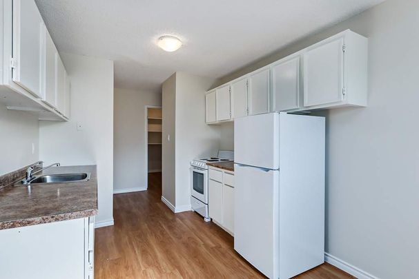 Renovated Suite - 2 Bedroom - Photo 1