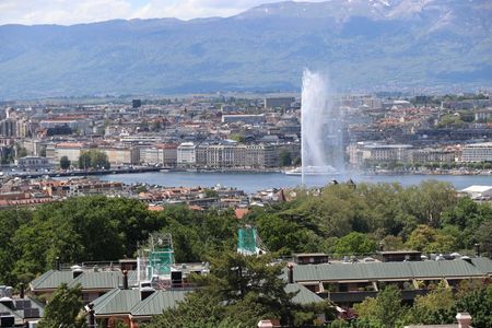 Luxury Apartment for Rent – Stunning View of the Lake and Montblanc - Photo 2