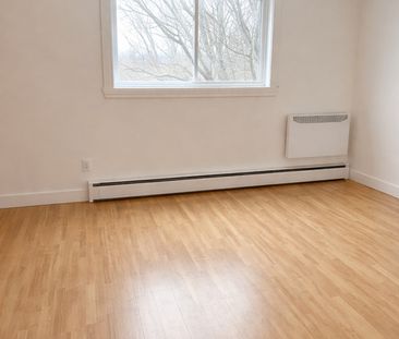 41/2 Central - Photo 1