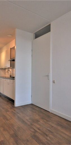 Paulus Potterstraat - Foto 1