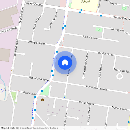 12 Bambridge Street, Chester Hill, NSW 2162