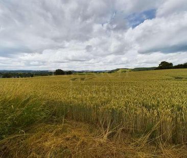 Rock Green Bank, Rock Green, Ludlow, Shropshire, SY8 - Photo 3