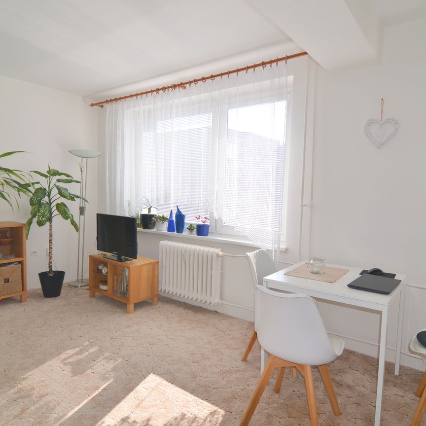 Pronájem bytu 1+kk v osobním vlastnictví 37 m², Praha 5 - Zbraslav - Photo 1