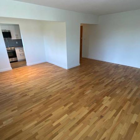 Large 2 Bedroom Unit - Newly Renovated - Photo 1