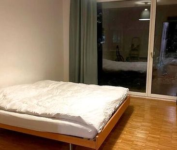 3½ Zimmer-Wohnung in Zürich - Kreis 3 Binz, möbliert, auf Zeit - Photo 6