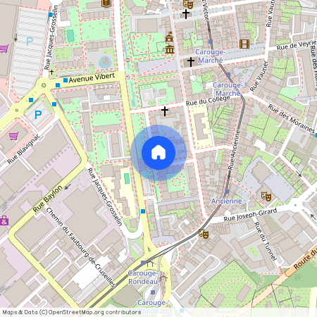 1227, Carouge GE, Rue de la Faïencerie, 13