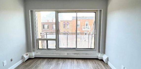 Studio - Montréal - $1,060 /mo - Photo 2