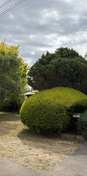 What more could you want? You'll love living here! - Photo 2