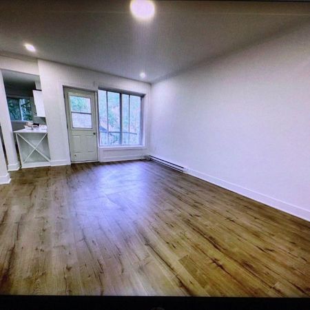 NDG Apt 1 bedroom - Photo 3