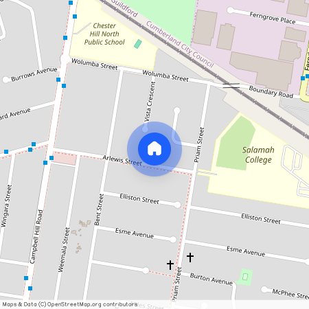 12 Arlewis Street, NSW 2162, Chester Hill