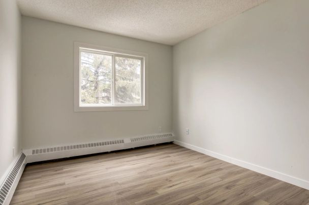 - 1 Bedroom at Cameron County - Photo 1