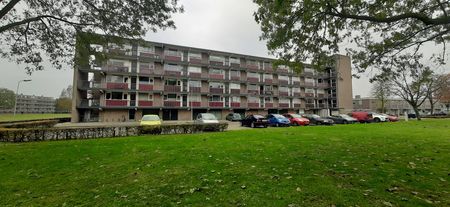 Den Bosch, 5213GV, Johan van de Veldestraat - Foto 2