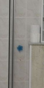 Gelijkvloers app. te huur in Grote-Brogel voor € 800 met 2 slaapkamers - Photo 3