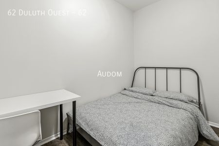 62 Duluth Ouest - 62 - Photo 4