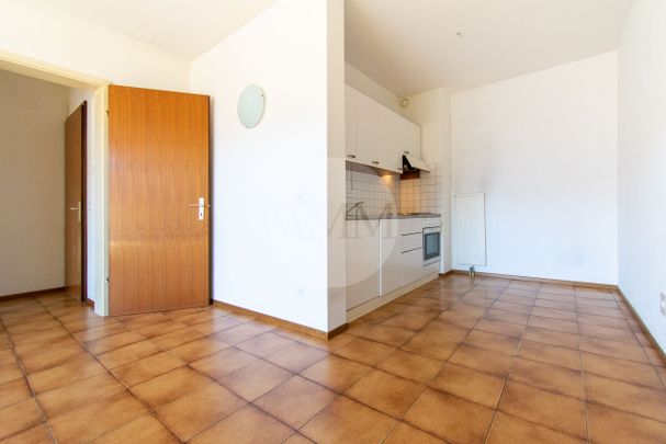 LUMINOSO 2.5 LOCALI A MASSAGNO - Foto 1