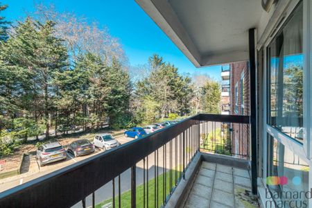 Hendon Lane - Photo 5