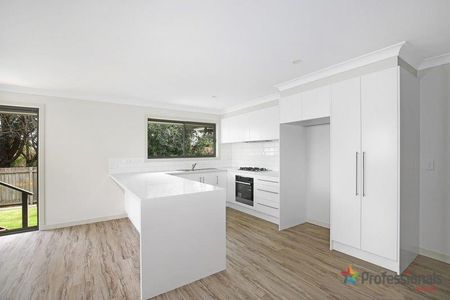 3/132 Douglas Street, Armidale NSW 2350 - Photo 3