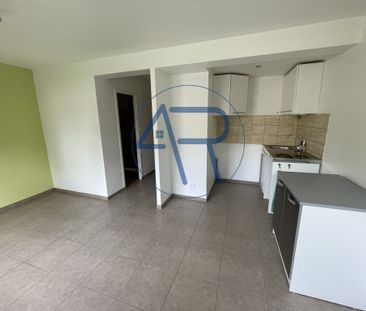 Location Appartement 1 pièce 23m² BRIOUDE 43100 - Photo 3