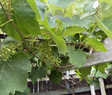 Prime Location! Easy access to all you could need! - Photo 3