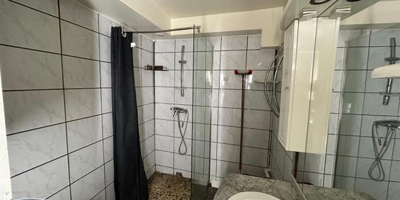 Location Appartement 1 pièce 41m² ST LAURENT SUR SAONE 01750 - Photo 3