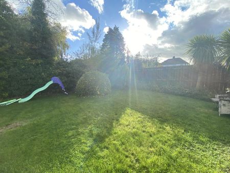 3 bedroom semi-detached house to rent - Photo 3