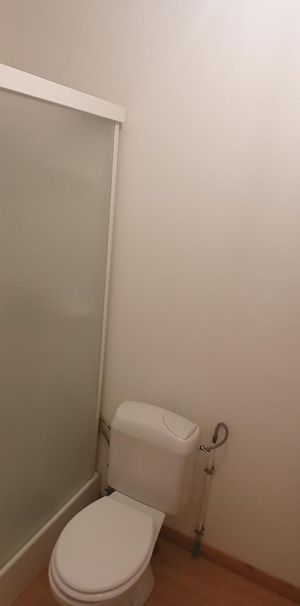 Location Appartement 1 pièce 18m² FLERS EN ESCREBIEUX 59128 - Photo 1