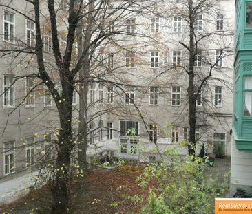 UNBEFRISTETE ALTBAUWOHNUNG IN DER BURGGASSE - Photo 2