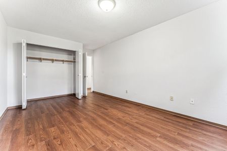 Kamel Point Village Apartments - 2 Bedroom - Photo 4