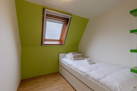 N318 - Photo 3