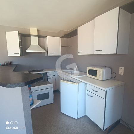 Location Appartement 2 pièces 43m² - Photo 3