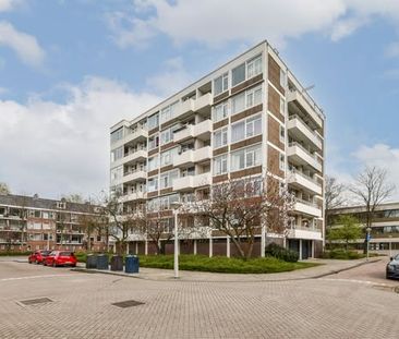 Room Amsterdam - Van Boshuizenstraat - Photo 1