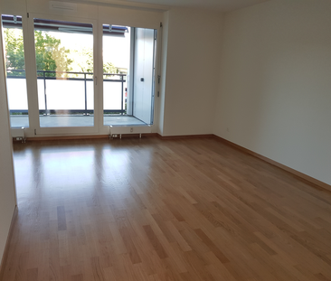 2.5 Zimmer, 54 m², 2. Stock - Photo 1