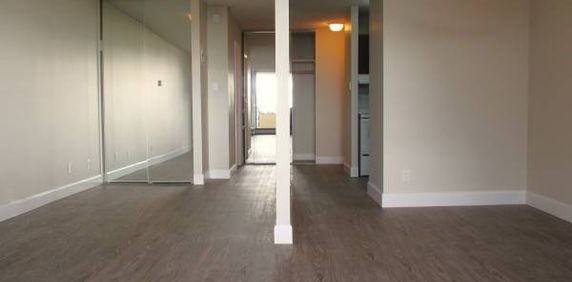 Beautiful large studio/stunning views! 589 SQUARE FEET plus BALCONY - Photo 2