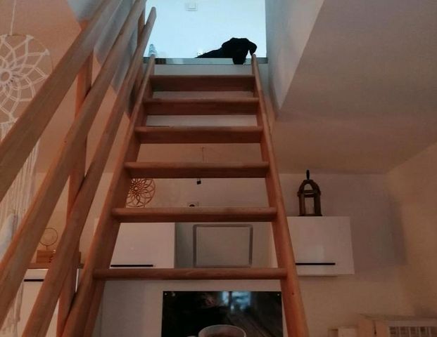 Nachmieter ab 1. Dezember gesucht - Photo 1