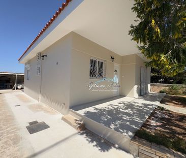 Μονοκατοικία για ενοικίαση Κέντρο (Καλύβια Θορικού) - Photo 3