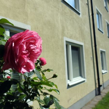 Pionjärgatan 8 - Foto 4