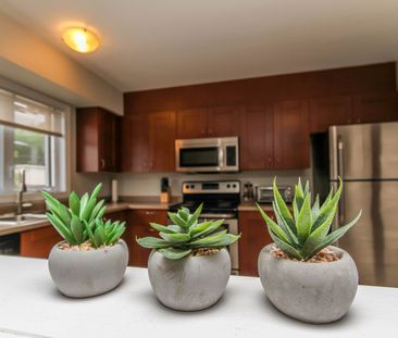 For Lease - 276 Carruthers Avenue Unit# B, West Centre Town, Ontario - Photo 5