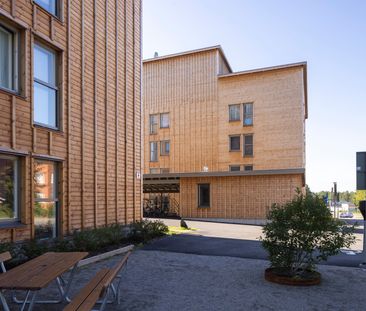 Gruvgatan, Skellefteå - Photo 3