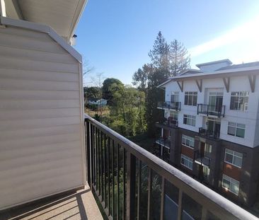19940 Brydon Crescent condo — Langley, BC (2-Bedroom) - 2 Bedroom - Photo 3