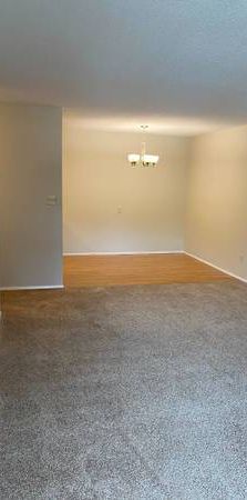 Large 2 bedroom 1.5 bathroom with in suite laundry - Photo 1