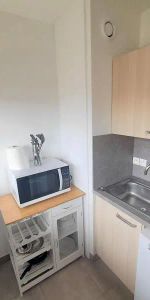 Appartement à louer 1 pièce 27.43m² - Photo 3