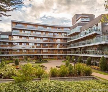 Booterstown Wood, Booterstown Avenue, Blackrock, Co Dublin , Booter... - Photo 6