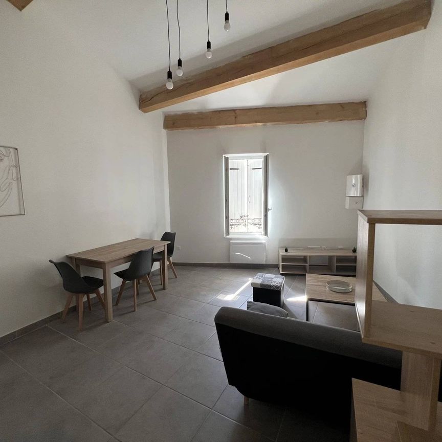 Appartement meublé de type 2 en centre ville - Photo 1