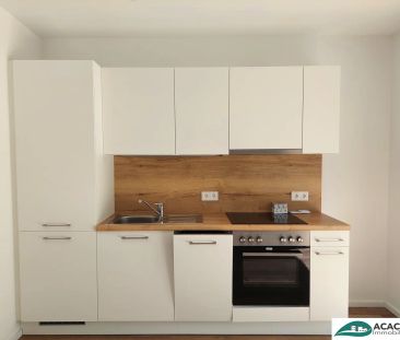 Erster eigener Wohn(t)raum gesucht? - freundliche 2-Zimmerwohnung m... - Photo 5